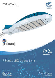 οδικά ελαφριά 100 Watt 110 lm/w IP65 οδηγήσεων υψηλής δύναμης με τον πλαστικό φακό